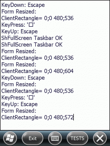 geometry_wm65_VGA__noTaskbar