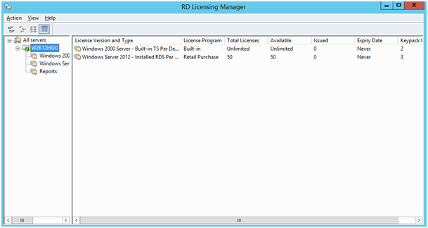 windows terminal server license